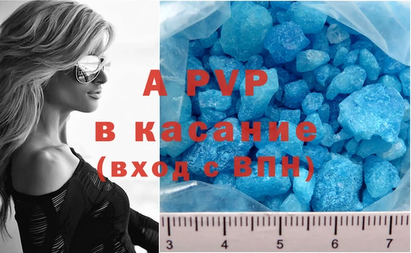 спайс Вяземский