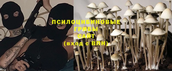 дурь Вязники