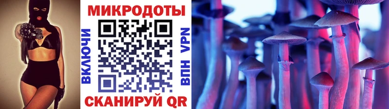Купить где  Касли  Псилоцибиновые грибы Psilocybine cubensis 